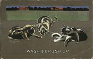 Wash & Brush Up