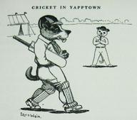 Cricket in Yapptown