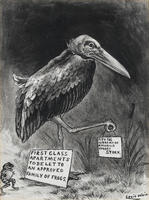 Pity the Sorrows of a Poor Old Hungry Stork