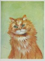 5167 - 1913 1subject book book_annual caption cat color_orange portrait realistic signature