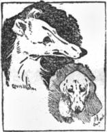 Borzois and Dachshund Winners of the Kennel Club Show - 23 October 1897