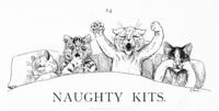 Naughty Kits