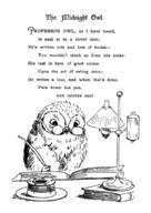 The Midnight Owl