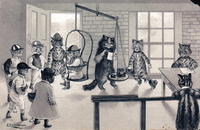 Cats In Weighing Room