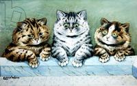 Three Kittens on the Hearth (w-c on paper)