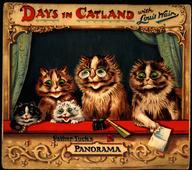 Days in Catland