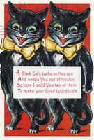 lucky-black-cats-20032000