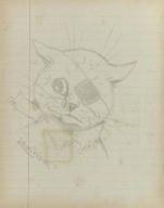 Two drawings of cats including 'In the wars, bandaged cat' (illustrated), in artist's sketchbook, with accompanying notes