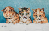 Three Sweet Little Kittens