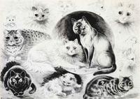 Varieties of cats