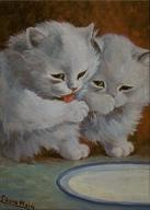 Two White Kittens After Drinking Milk