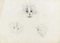 A Startled Kitten & Two Studies of Cats