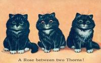 [2013-10-20] 64610487020 bunny realness, a rose between two thorns! louis wain - 01