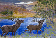 Stags by the Loch