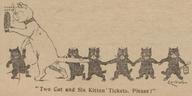 Two Cat and Six Kitten Tickets, Please