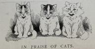 In Praise of Cats